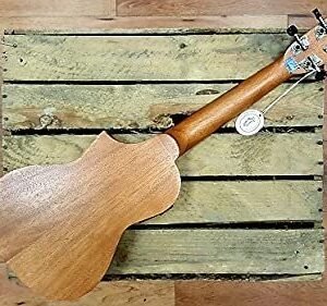 Ashton UKE240EQMH Electro-Acoustic Concert Ukulele Sold by Chennai Musicals