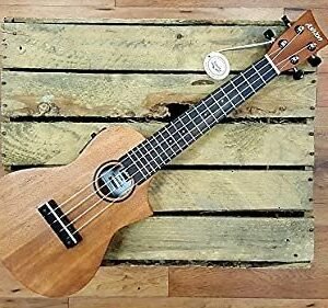 Ashton UKE240EQMH Electro-Acoustic Concert Ukulele Sold by Chennai Musicals