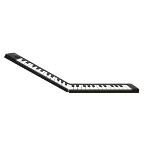 Blackstar Carry-on Folding Controller 49