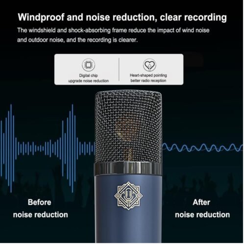 DIGIMORE D 440 Condenser Mic Studio Kit