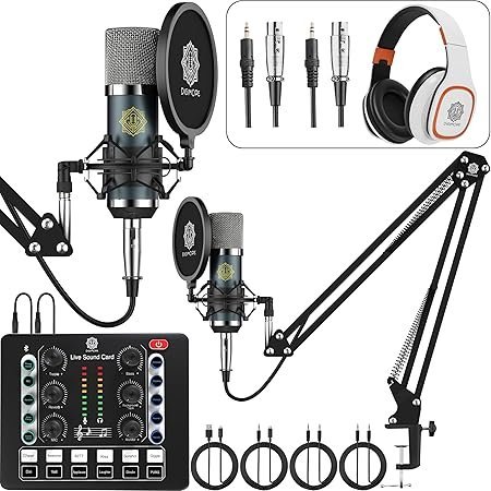 Digimore D 442 Dual Condenser Microphone Kit for Singing with D 220 Sound Card