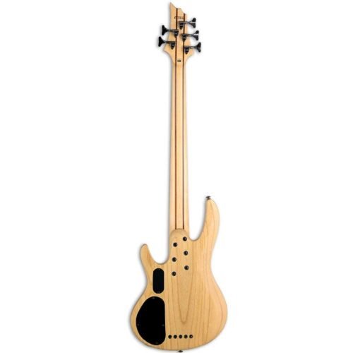 ESP LTD B-205SM 5-String Bass Guitar - Natural Satin
