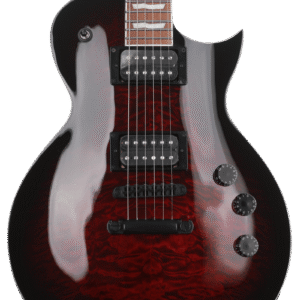 ESP LTD EC-256 Electric Guitar See Thru Black Cherry ESP LTD EC-256 Electric Guitar See Thru Black Cherry