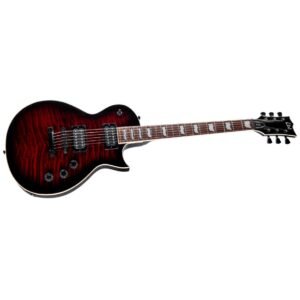 ESP LTD EC-256 Electric Guitar See Thru Black Cherry ESP LTD EC-256 Electric Guitar See Thru Black Cherry