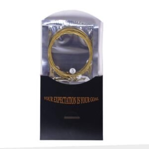 Hertz Rosewood Hza80 Sl Acoustic Guitar Strings