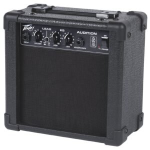Peavey TransTube Audition