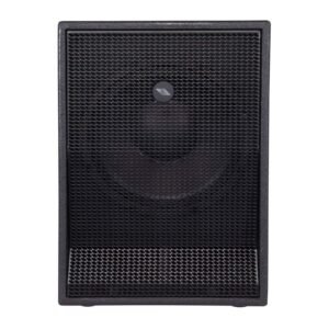 Proel S12 A Active Subwoofer