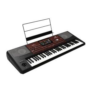 Korg PA700 Professional Arranger Keyboard with MicroSD Card, Indian Sounds & Styles Korg PA700 Professional Arranger Keyboard with MicroSD Card, Indian Sounds & Styles