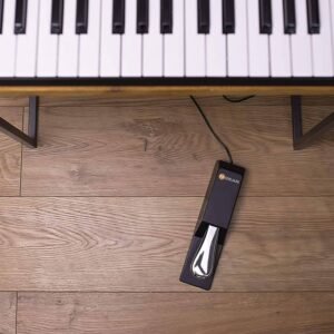 M-Audio SP2 Professional Piano Sustain Pedal
