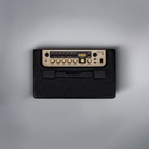Marshall Code 25 25-Watt Guitar Combo Amplifier