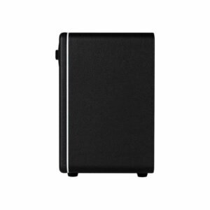 Mooer Hornet 15i Modeling Amp Black