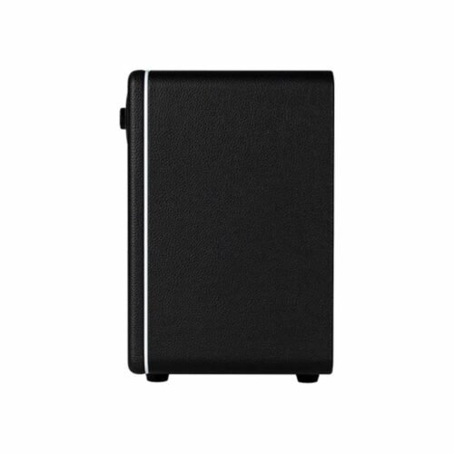 Mooer Hornet 15i Modeling Amp Black