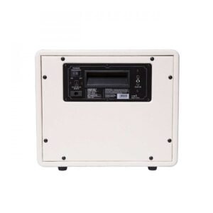 Mooer Hornet 15i Modeling Amp White