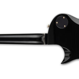 ESP LTD Eclipse EC-256 Electric Guitar - Black