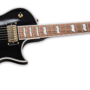 ESP LTD Eclipse EC-256 Electric Guitar - Black