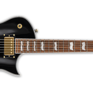 ESP LTD Eclipse EC-256 Electric Guitar - Black