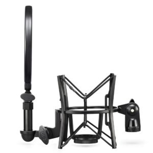 Rode NT1AI1Bundle Condenser Microphone and One-Channel USB Audio Interface Pack