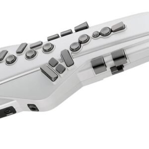 Roland AE-BRISA Electronic Wind Instrument