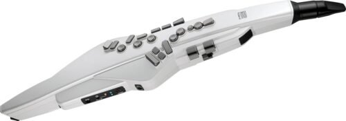 Roland AE-BRISA Electronic Wind Instrument