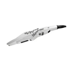 Roland AE-BRISA Electronic Wind Instrument