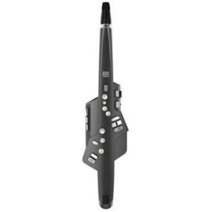 Roland Aerophone AE-10G Digital Wind Instrument Roland Aerophone AE-10G Digital Wind Instrument