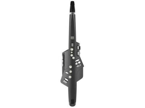 Roland Aerophone AE-10G Digital Wind Instrument Roland Aerophone AE-10G Digital Wind Instrument