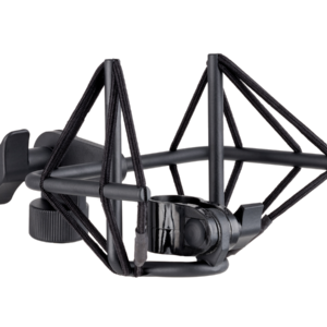 sE Electronics VR2 Ribbon Microphones