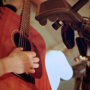 sE Electronics guitaRF Reflexion Filter