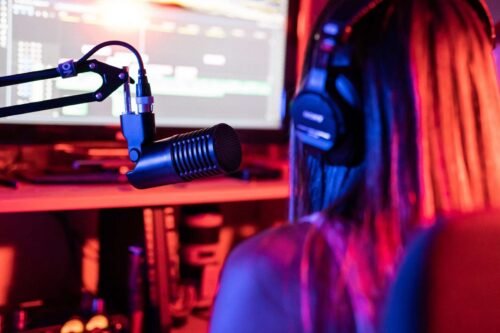 sE electronics Dynacaster DCM8 Microphone