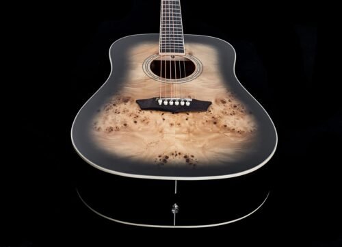 Washburn Deep Forest Burl 6 String Acoustic Guitar, Right, Black Fade (DFBDB)