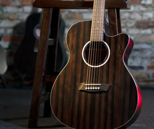 Washburn - Deep Forest Ebony ACE-Striped Ebony-DFEACEA-U Washburn - Deep Forest Ebony ACE-Striped Ebony-DFEACEA-U