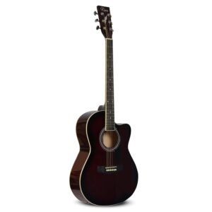 Whyte Audio Fiero Series Acoustic Guitar (Dark Wood) Whyte Audio Fiero Series Acoustic Guitar (Dark Wood)