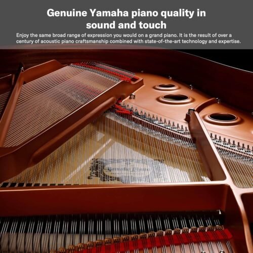 YAMAHA P-125AB DIGITAL PIANO WITH 88 KEYS, Black- Product is Discontinued YAMAHA P-125AB DIGITAL PIANO WITH 88 KEYS, Black- Product is Discontinued
