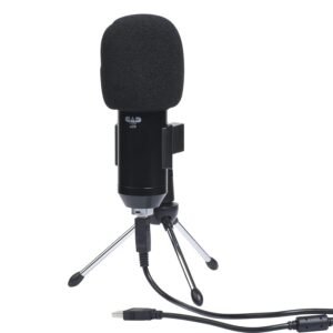 CAD Audio U29 USB Large Format Side Address Studio Microphone