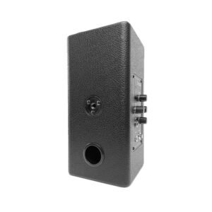 Lemon LE1X Electronic Drum Speaker
