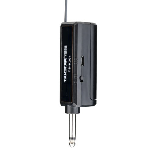 Takstar TS-K302 Dual Wireless Handheld Microphone System