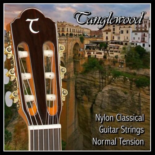 Tanglewood TWGS C