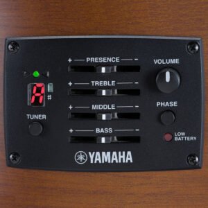 Yamaha FSX400 Smoky Black Acoustic guitar