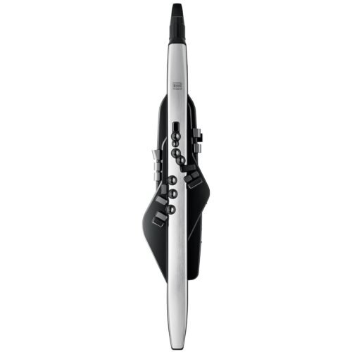 Roland Aerophone Pro Digital Wind Instrument, Professional-Grade (AE-30) Roland Aerophone Pro Digital Wind Instrument, Professional-Grade (AE-30)