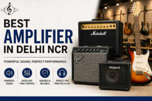 Best Amplifier in Delhi NCR