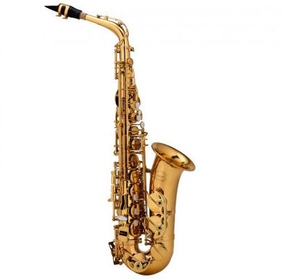 Chateau, Alto Saxophone CAS-22GL