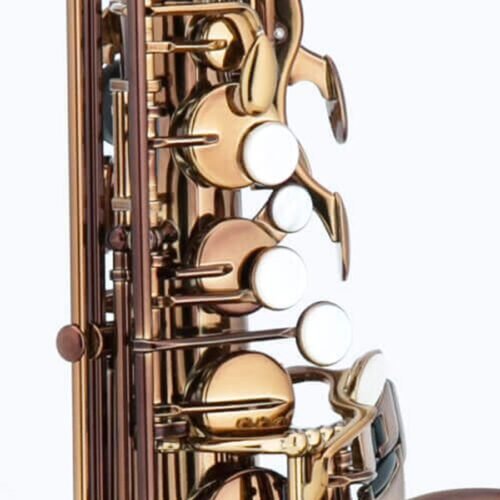 Chateau CAS 50C Chambord Series Alto Saxophone Cognac
