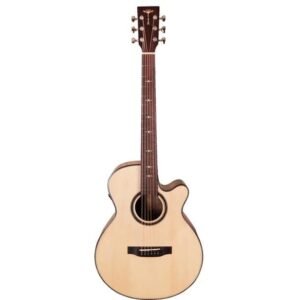 TYMA A2 Custom ZL Zhang Lei Signature Series Semi Acoustic Guitar