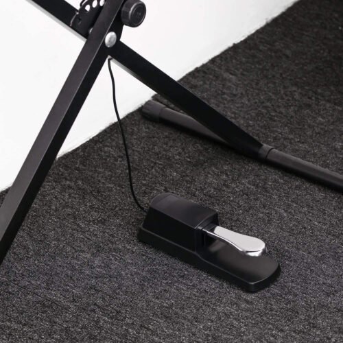 Hayden Audio Universal Sustain Pedal
