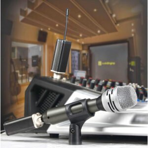 Hayden Audio Wireless Microphone System with XLR Adapter