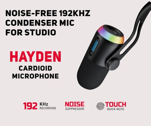 6a52218e2b0de508f509d7d54ace469d54aa1e6c067a2fa983460.jpg Hayden Audio HY-C45 Professional Condenser Microphone