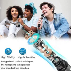 Hayden Audio HY-58 UHF Wireless Microphone