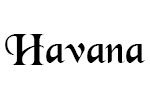 havana Havana MV1412F Violin 3/4 Size with Case, Ebony Pegs