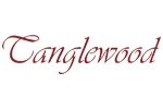 7148329-Tanglewood Tanglewood Discovery Dbt Tce Bw Electro-Acoustic Travel Guitar