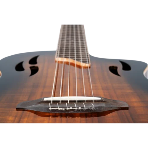 Ortega Classical Electric Guitar, TourPlayer Series, with Bag -Acacia Burst RTPDLX-ACA (9) Ortega Classical Electric Guitar, TourPlayer Series, with Bag -Acacia Burst RTPDLX-ACA